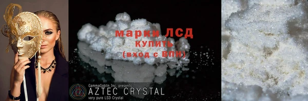 стаф Аркадак