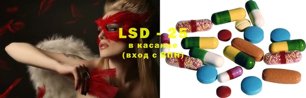 стаф Аркадак