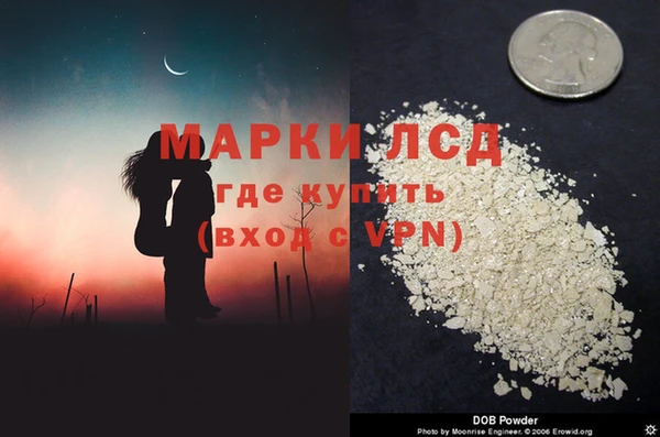 стаф Аркадак