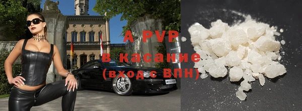 стаф Аркадак