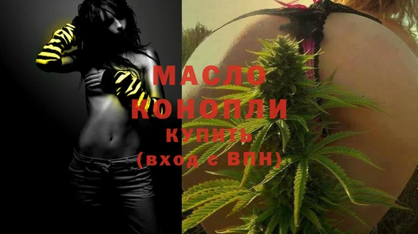 молекула духа Осинники