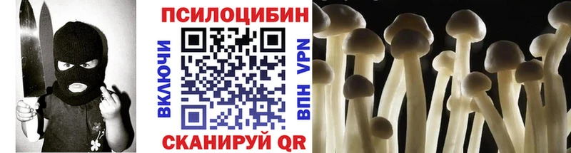 купить закладку  Пыталово  Галлюциногенные грибы Magic Shrooms 